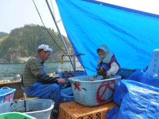 Les pêcheurs retourenent à la mer